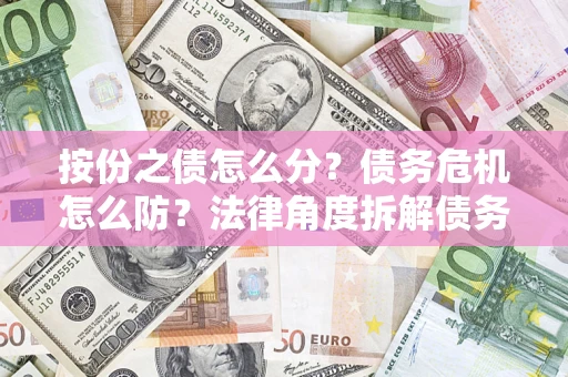 武汉按份之债怎么分？债务危机怎么防？法律角度拆解债务分配与风险自保指南
