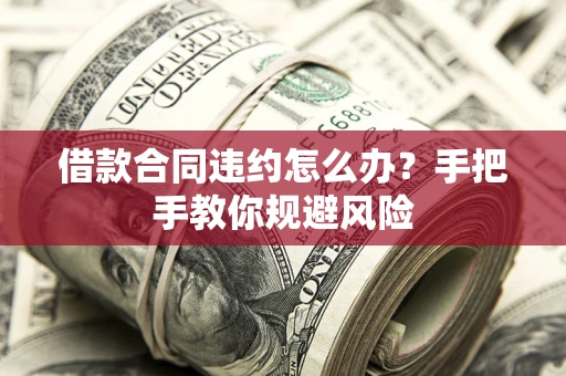 武汉借款合同违约怎么办？手把手教你规避风险