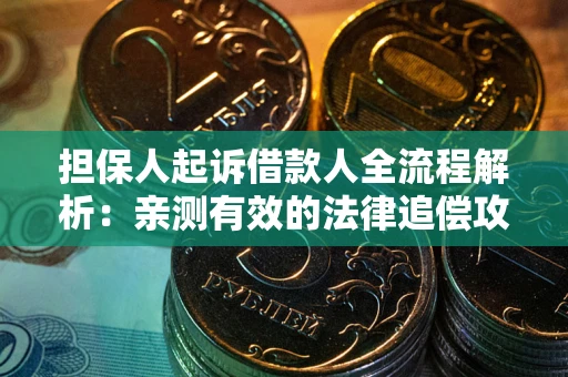 武汉担保人起诉借款人全流程解析：亲测有效的法律追偿攻略