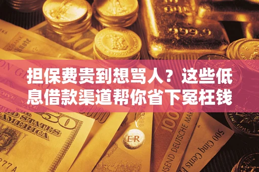 武汉担保费贵到想骂人？这些低息借款渠道帮你省下冤枉钱