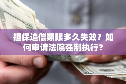 武汉担保追偿期限多久失效？如何申请法院强制执行？
