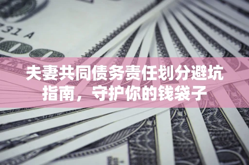 武汉夫妻共同债务责任划分避坑指南，守护你的钱袋子