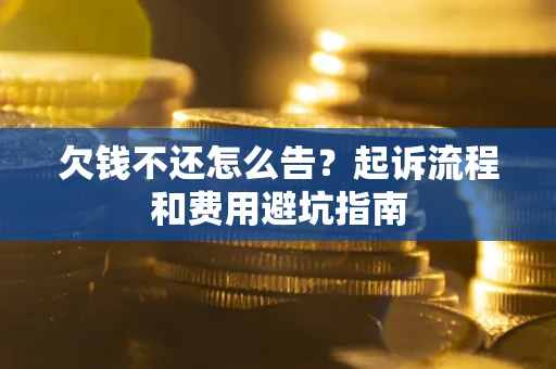 武汉欠钱不还怎么告？起诉流程和费用避坑指南
