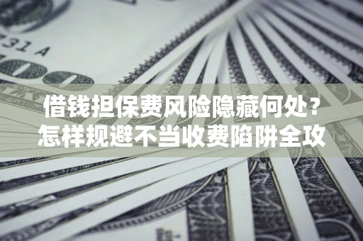 武汉借钱担保费风险隐藏何处？怎样规避不当收费陷阱全攻略！
