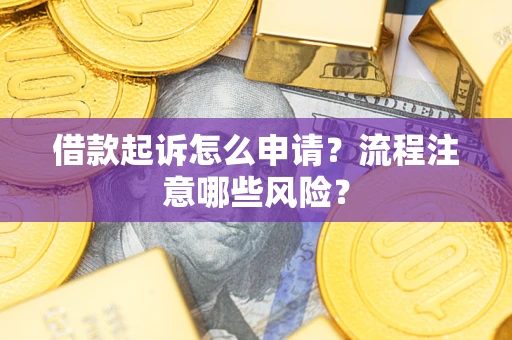 武汉借款起诉怎么申请？流程注意哪些风险？