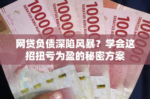 武汉网贷负债深陷风暴？学会这招扭亏为盈的秘密方案